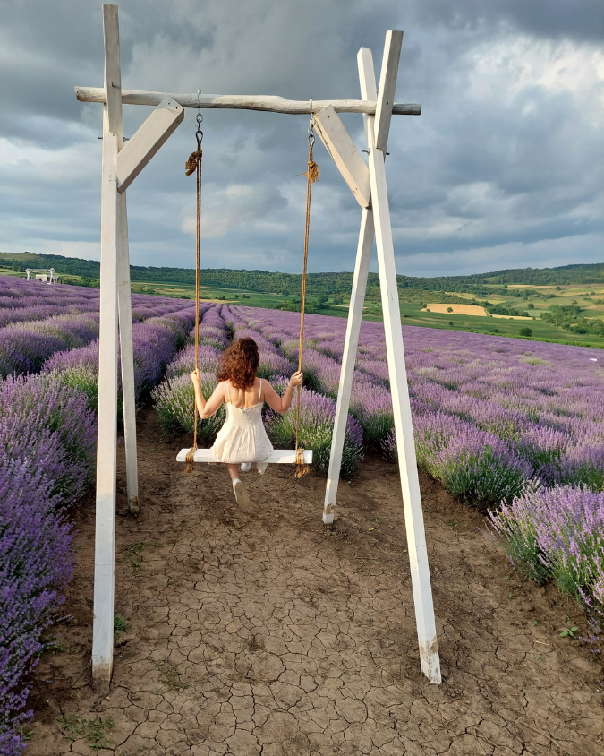 迷迭香與薰衣草