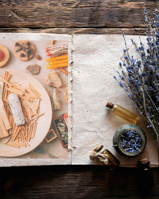 KNSA植物療癒課程